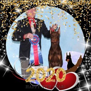 Meet your Posher, Jeanne